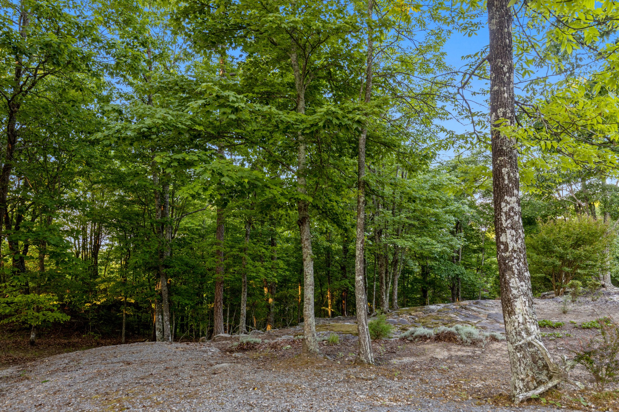 143 Tunnie Point Dunlap TN 37327