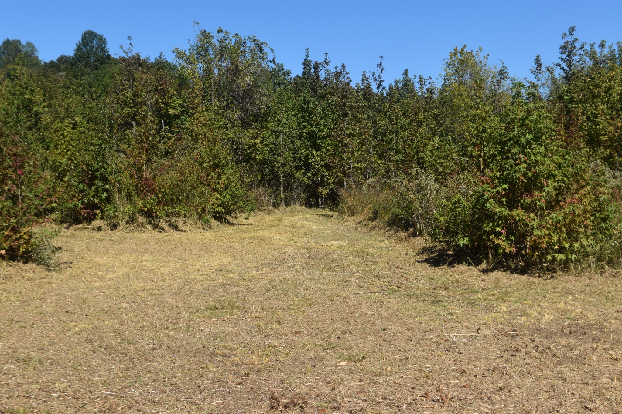 0 New Lake Road Lewisburg TN 37091