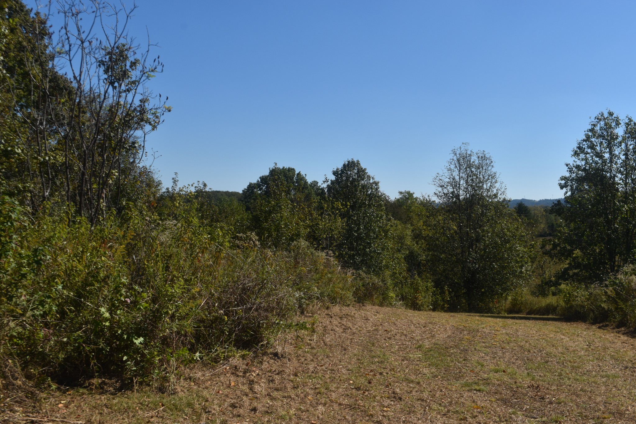 0 New Lake Road Lewisburg TN 37091