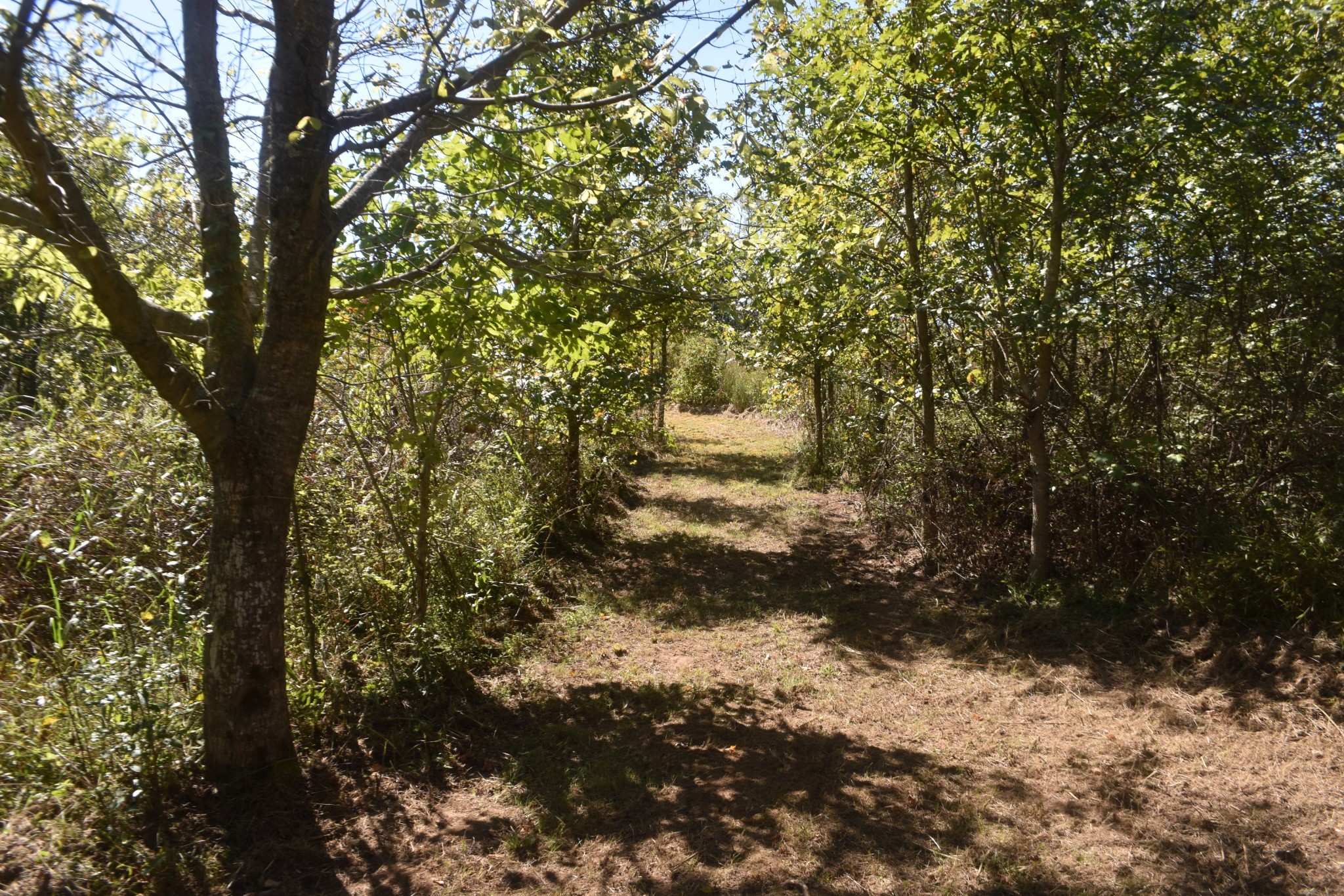0 New Lake Road Lewisburg TN 37091