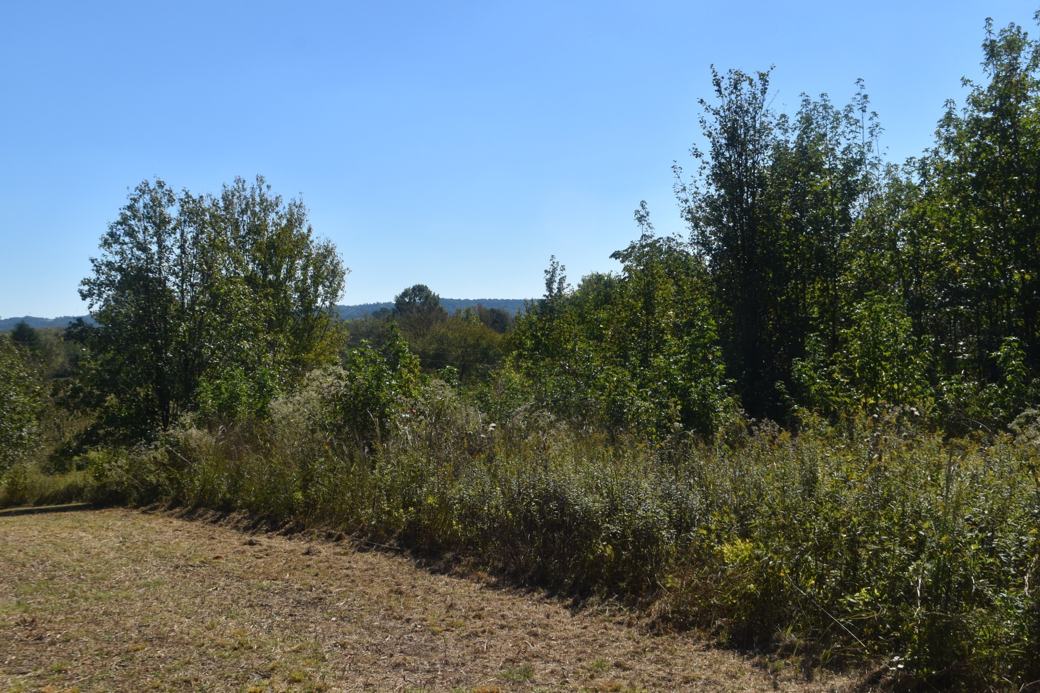 0 New Lake Road Lewisburg TN 37091