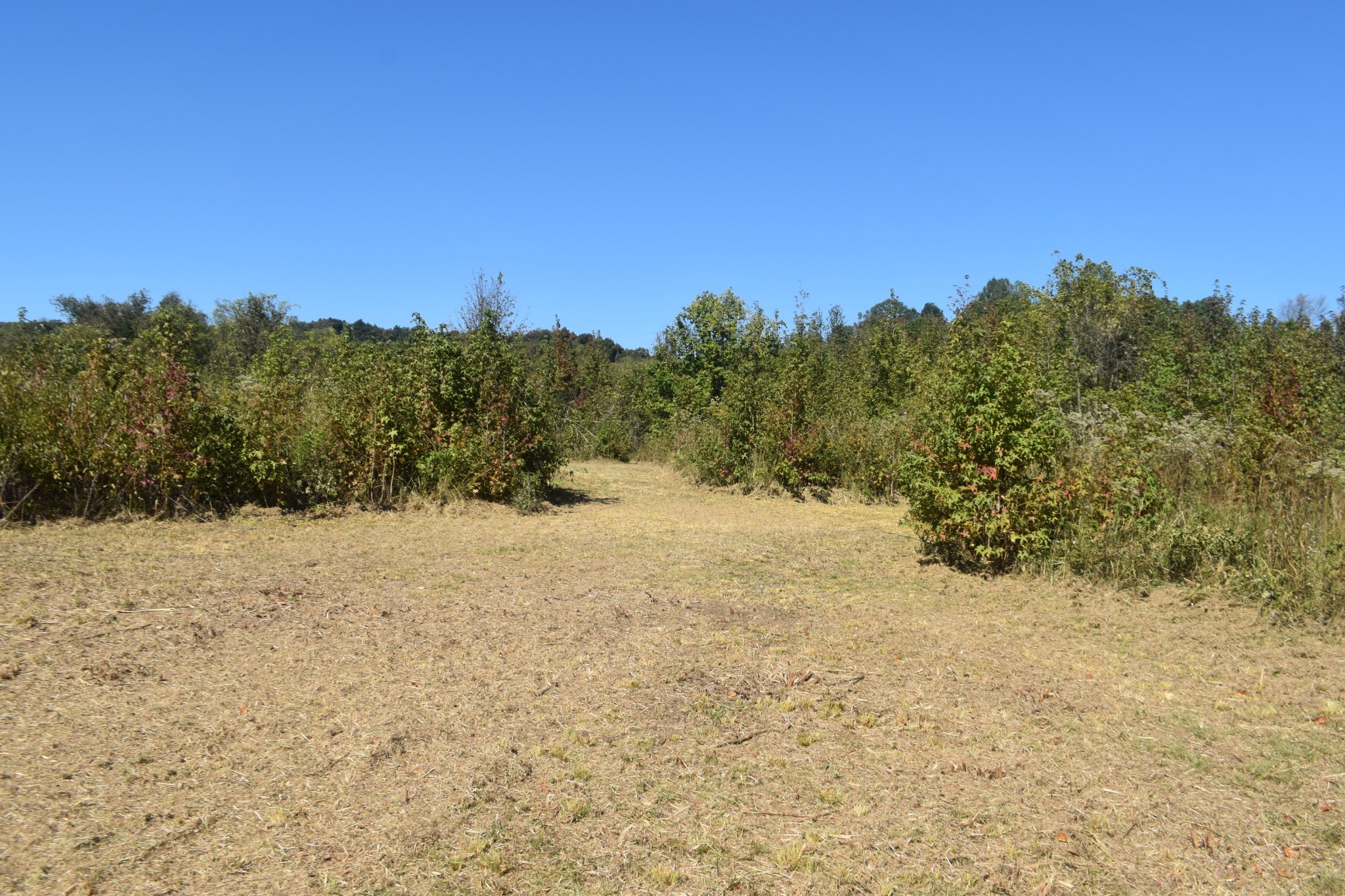 0 New Lake Road Lewisburg TN 37091
