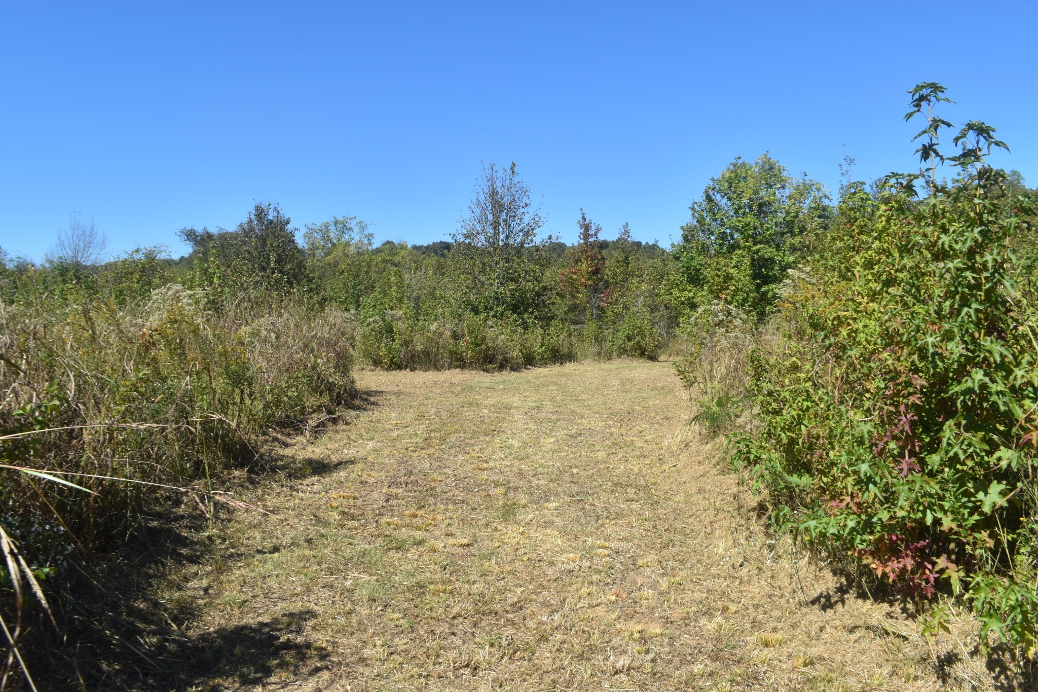 0 New Lake Road Lewisburg TN 37091