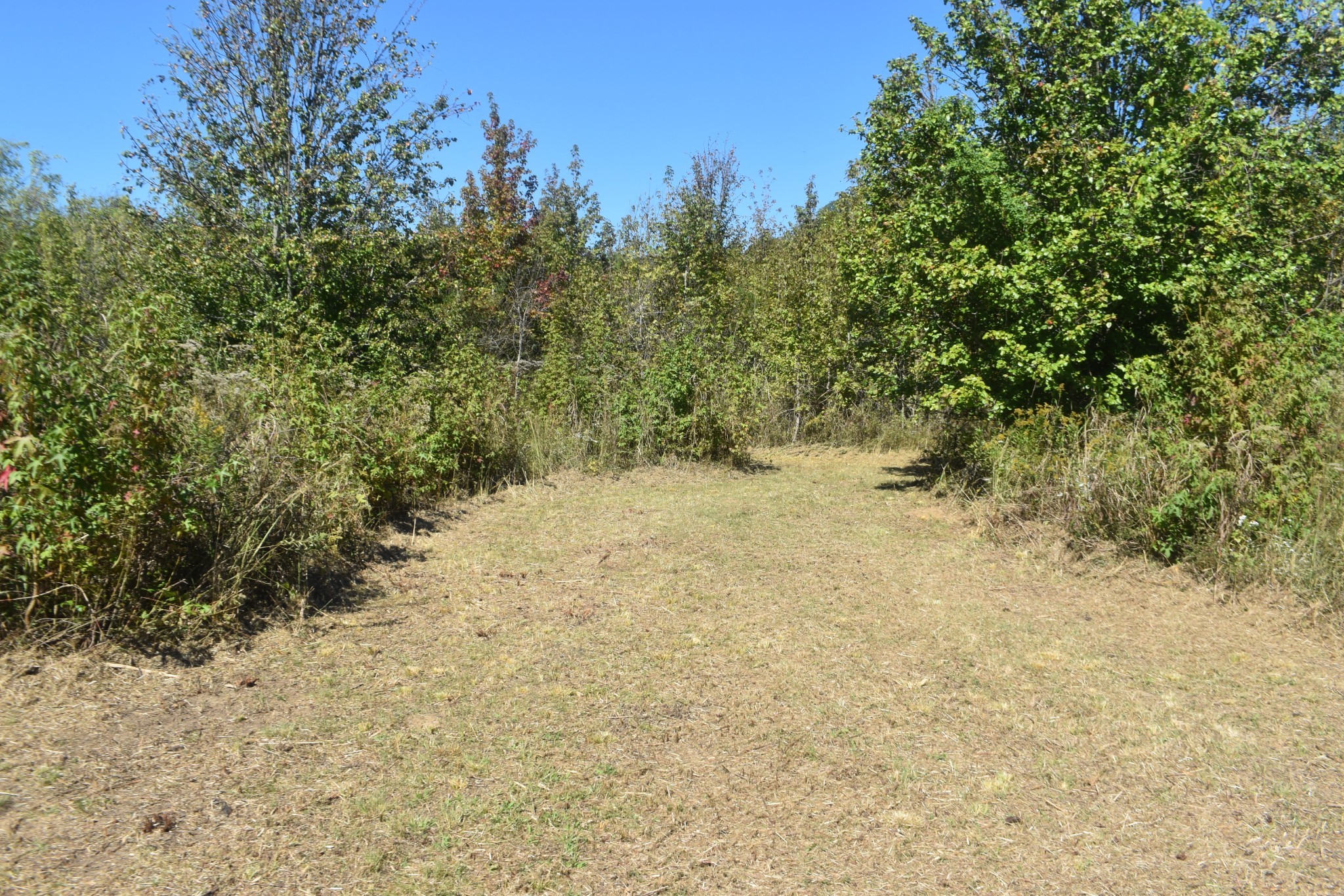 0 New Lake Road Lewisburg TN 37091