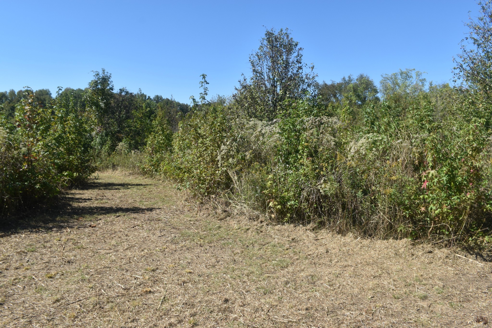 0 New Lake Road Lewisburg TN 37091