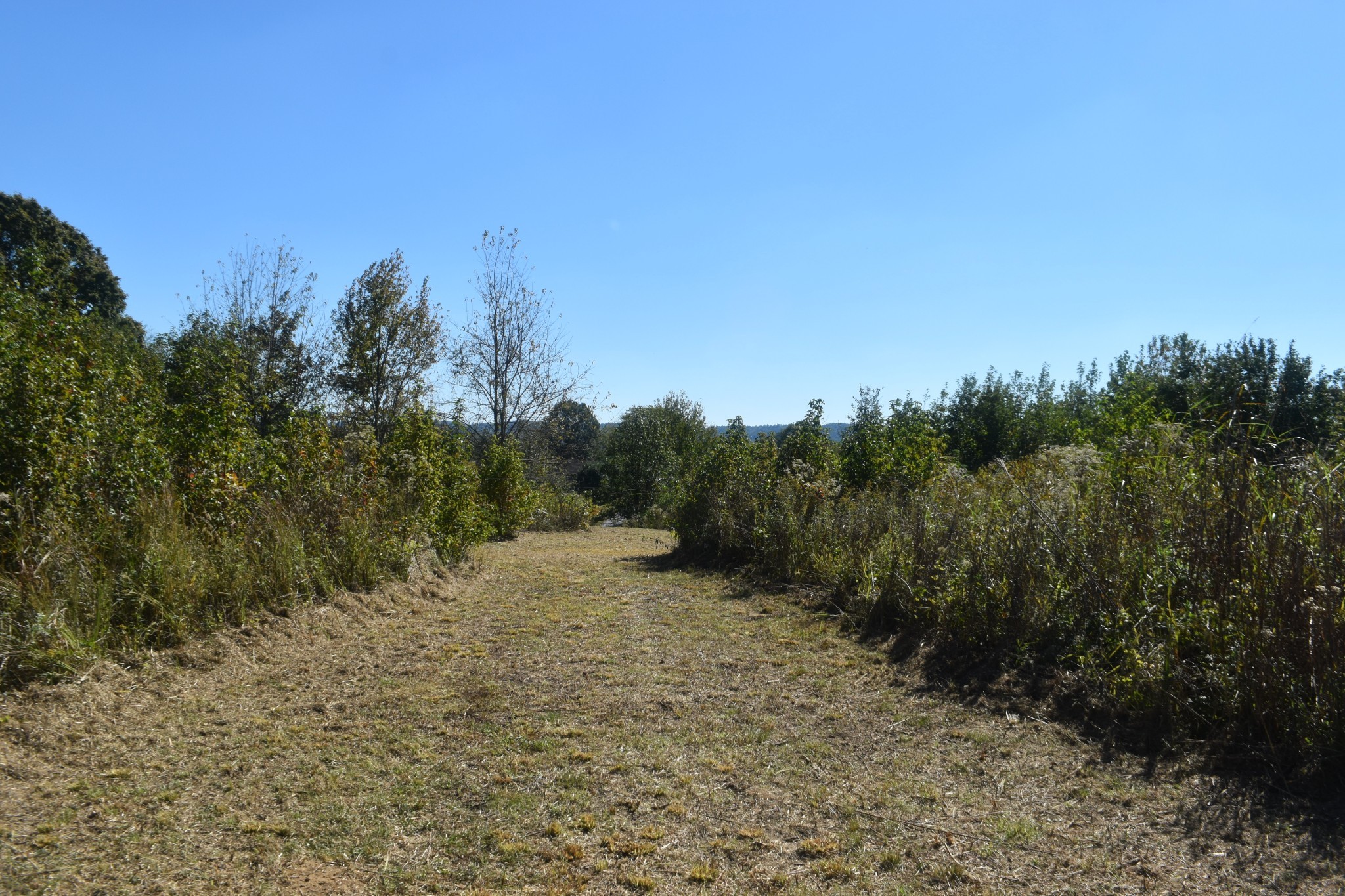0 New Lake Road Lewisburg TN 37091