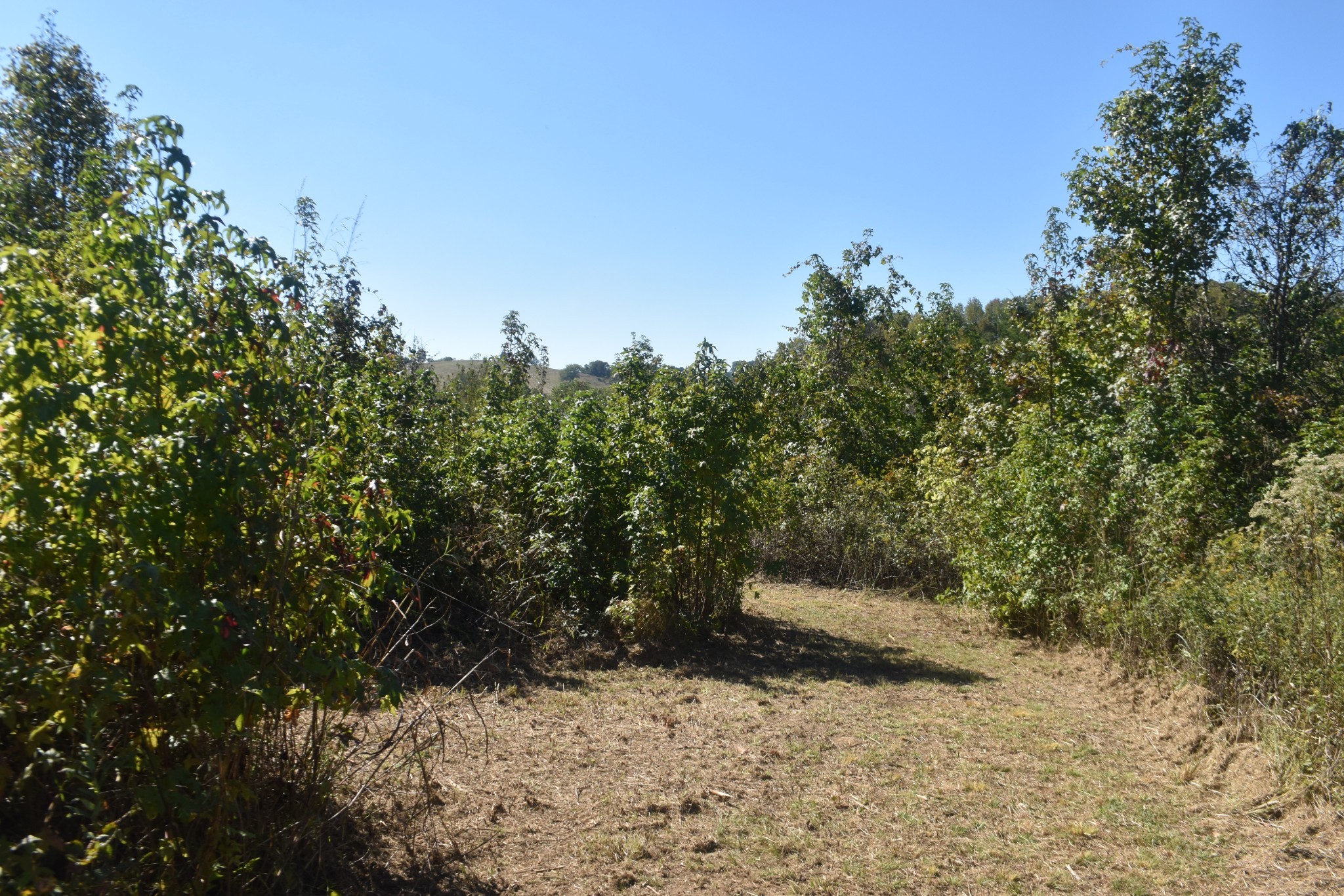0 New Lake Road Lewisburg TN 37091