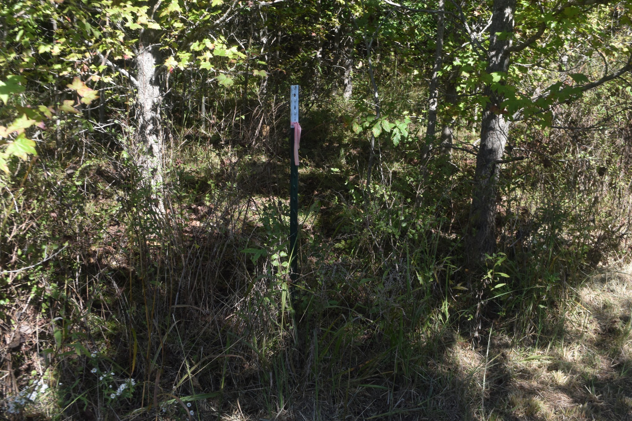 0 New Lake Road Lewisburg TN 37091