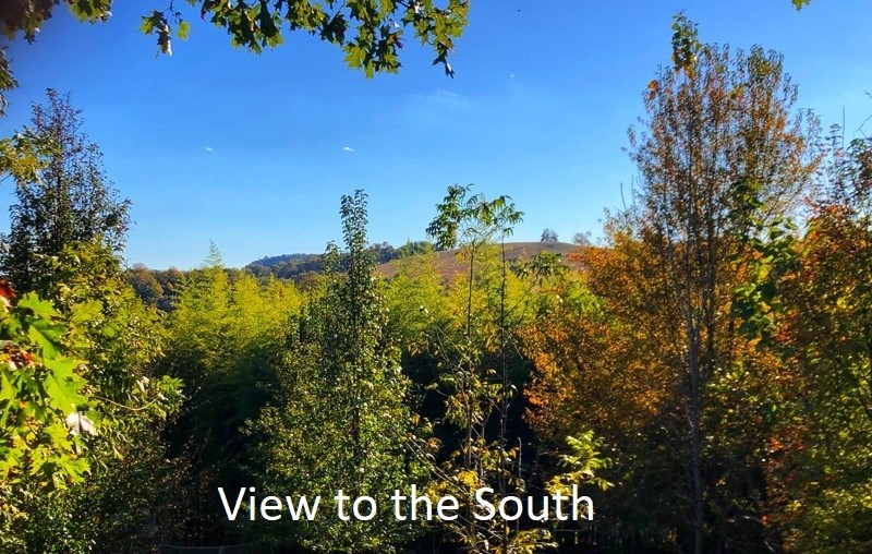 0 New Lake Road Lewisburg TN 37091