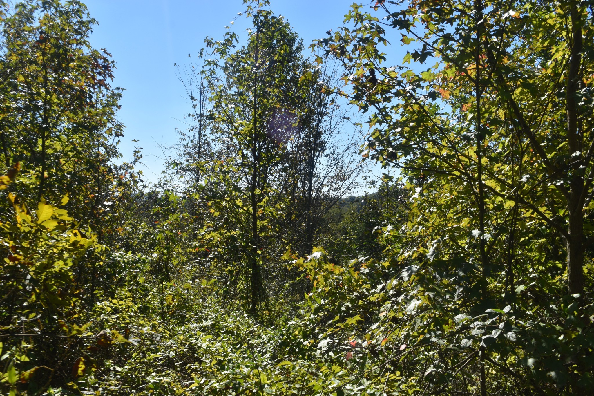 0 New Lake Road Lewisburg TN 37091
