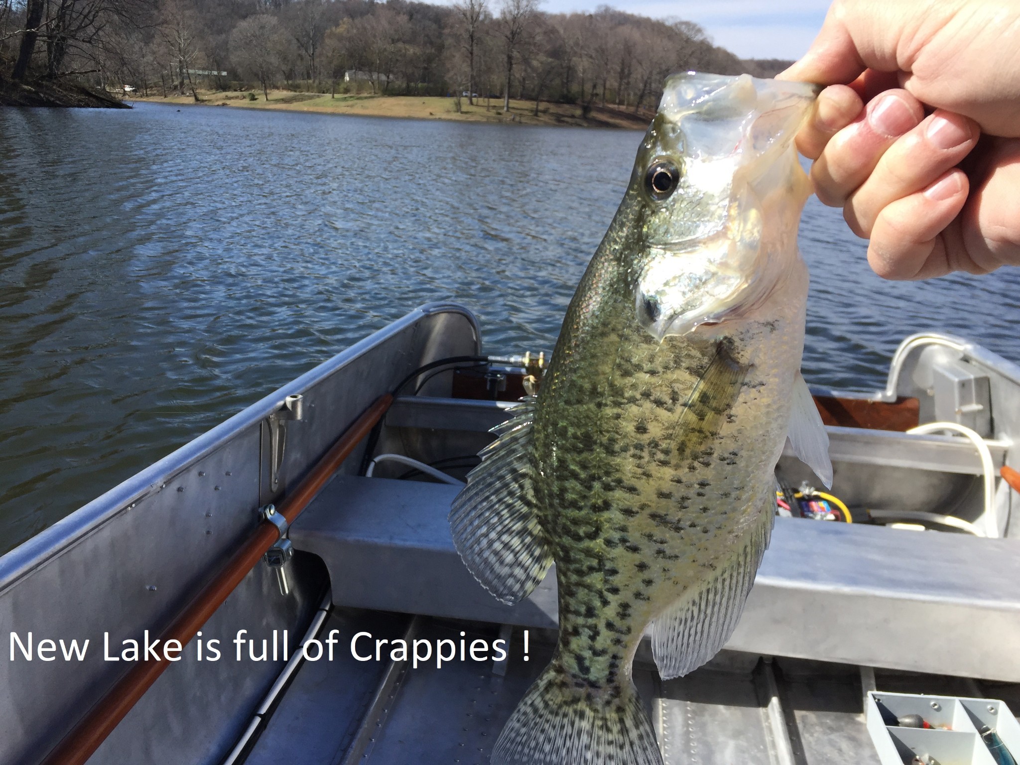 0 New Lake Road Lewisburg TN 37091