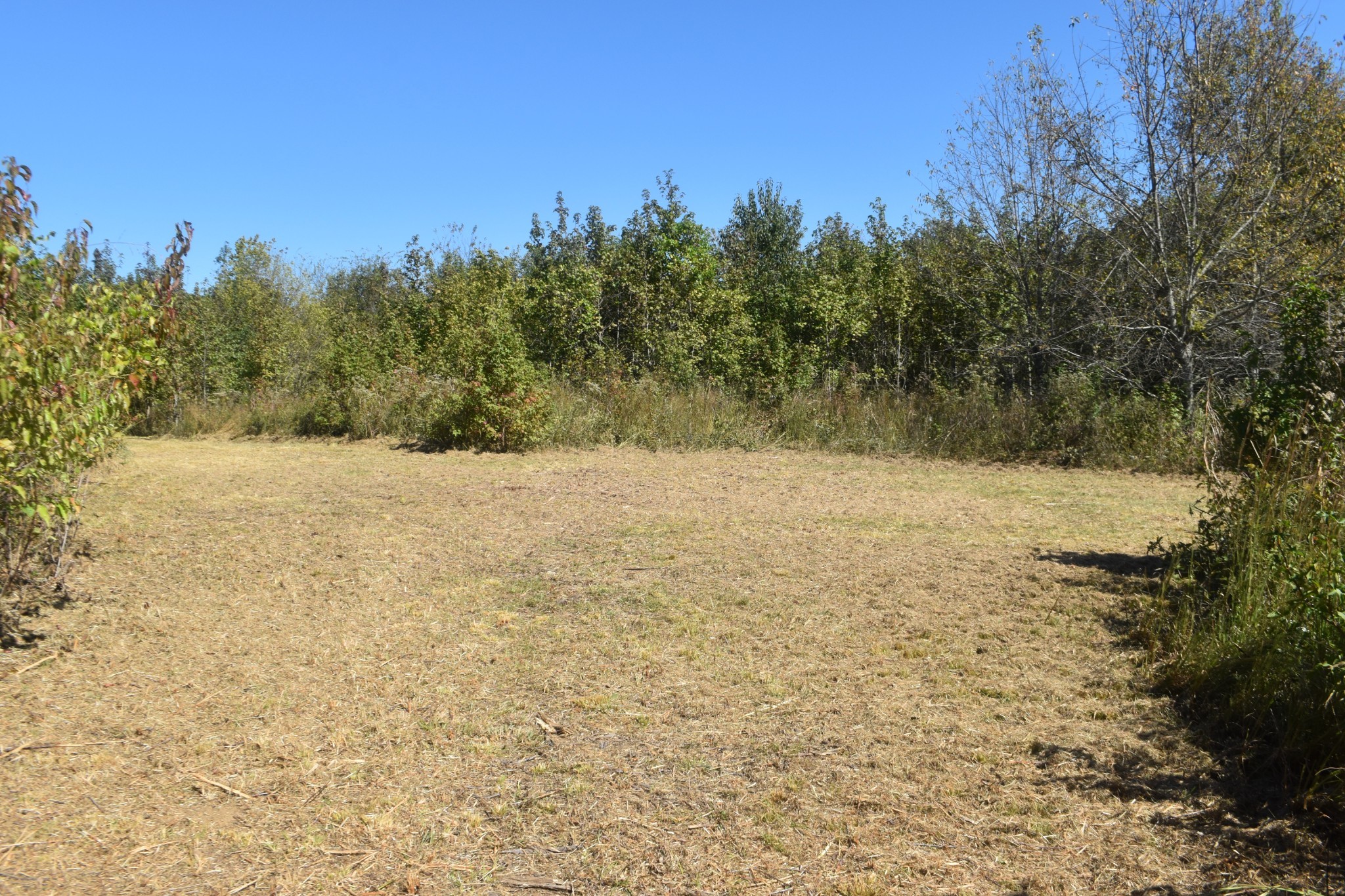 0 New Lake Road Lewisburg TN 37091