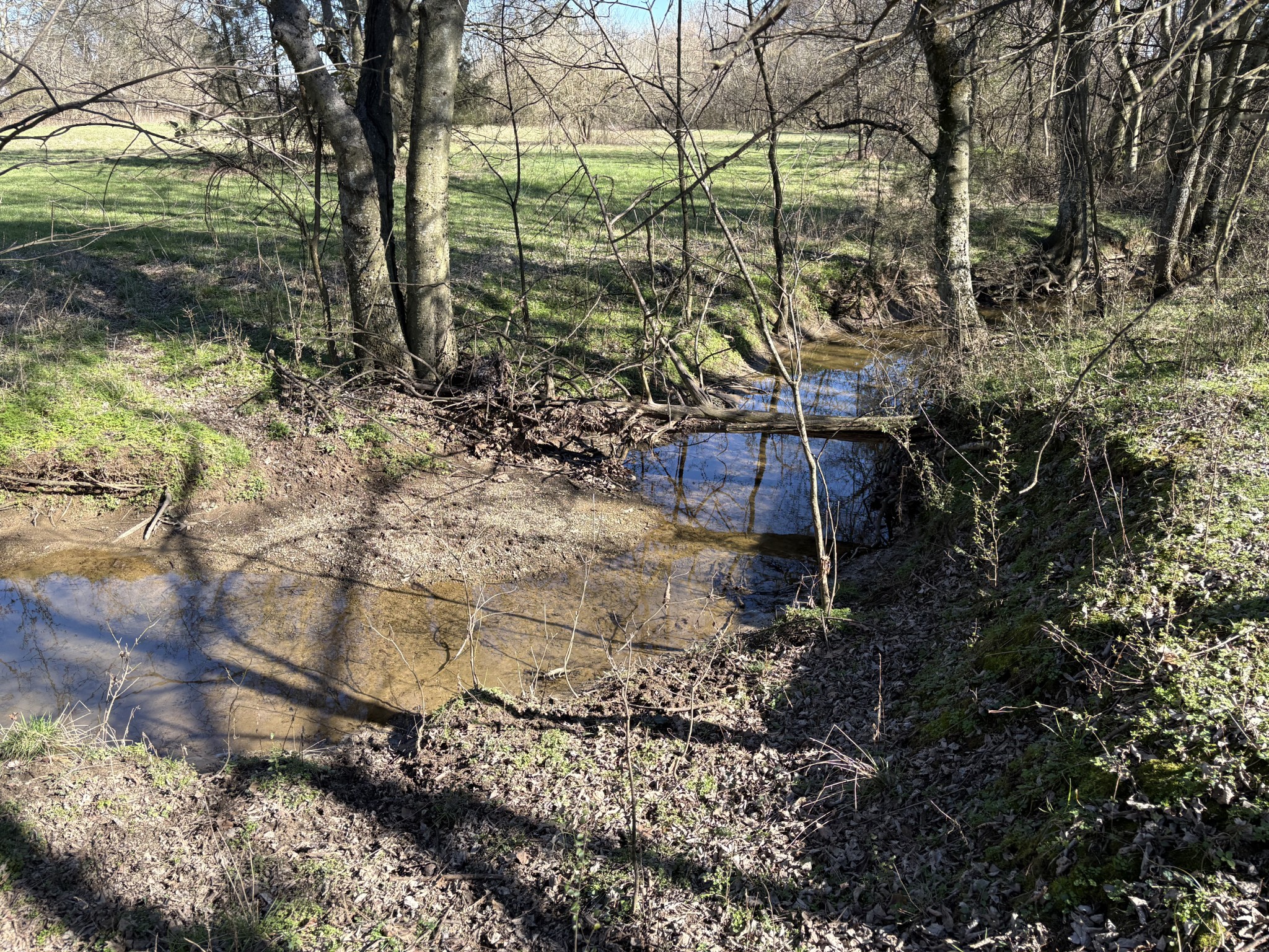 0 Knights Campground Road Shelbyville TN 37160