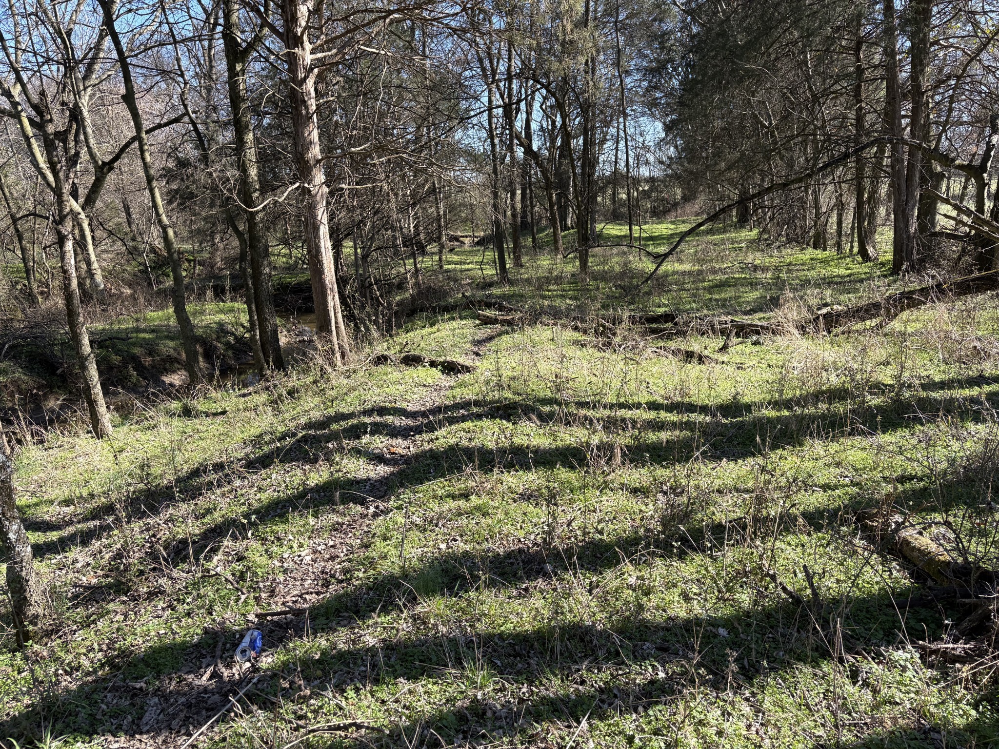 0 Knights Campground Road Shelbyville TN 37160