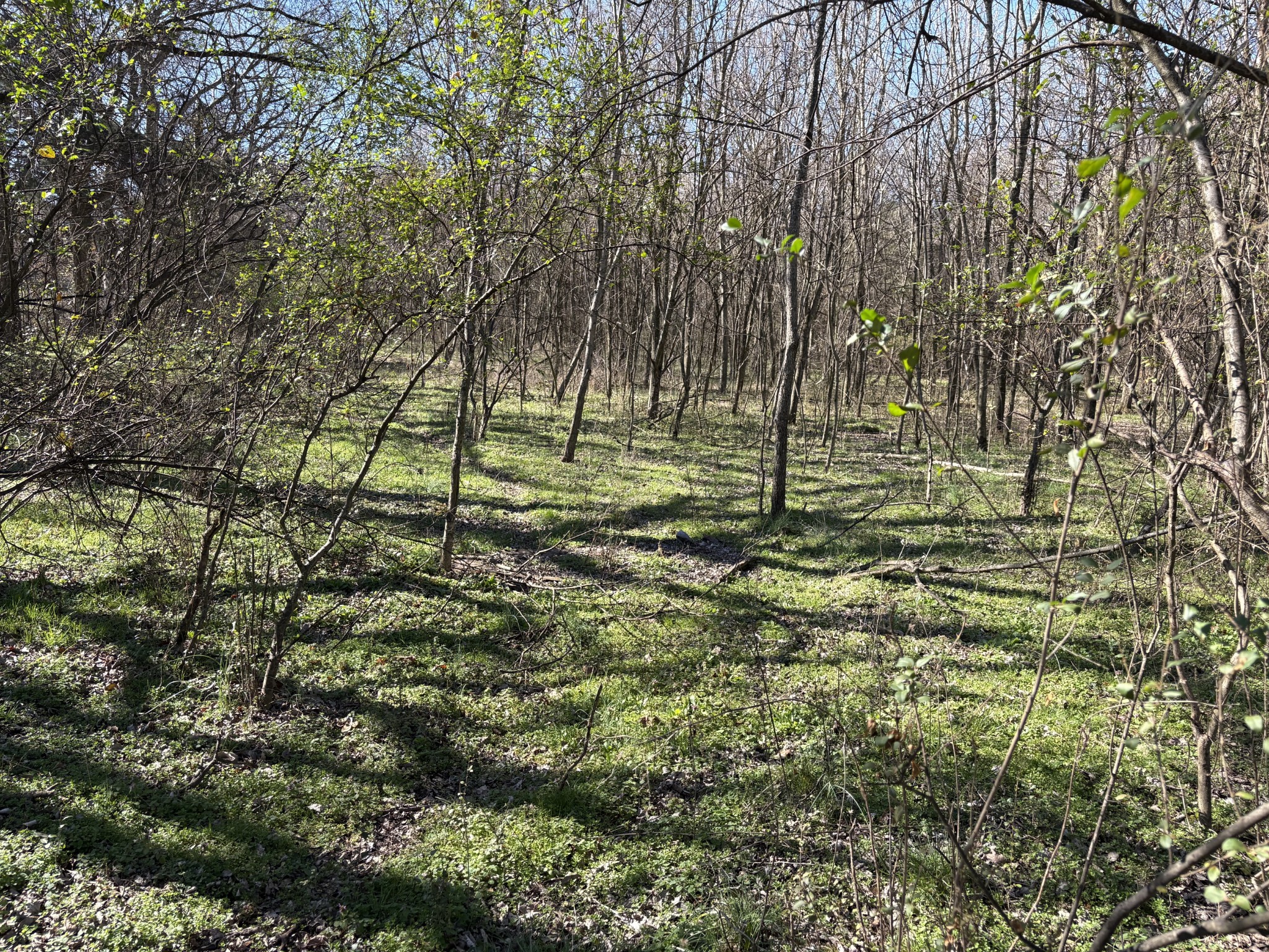 0 Knights Campground Road Shelbyville TN 37160