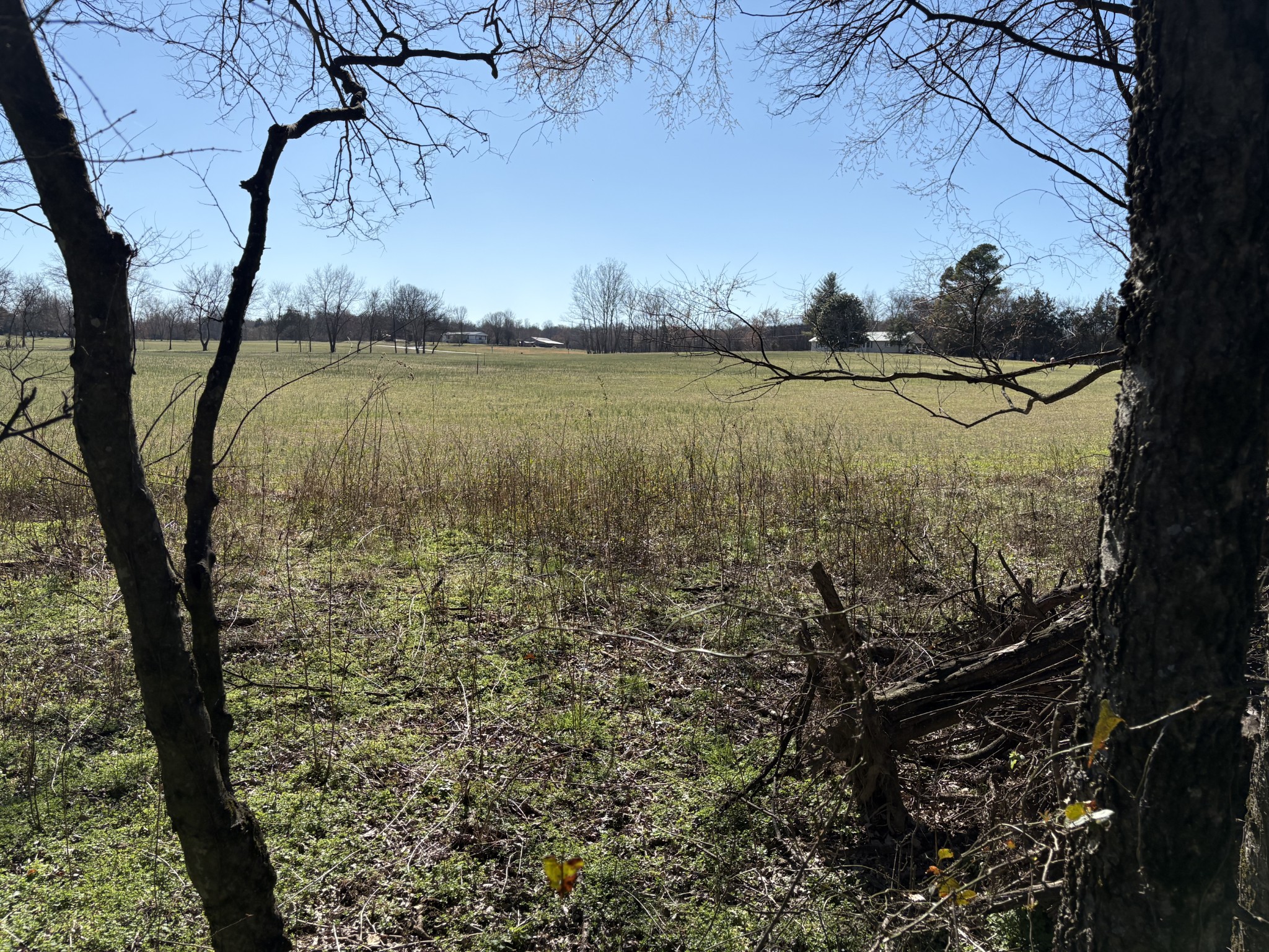 0 Knights Campground Road Shelbyville TN 37160