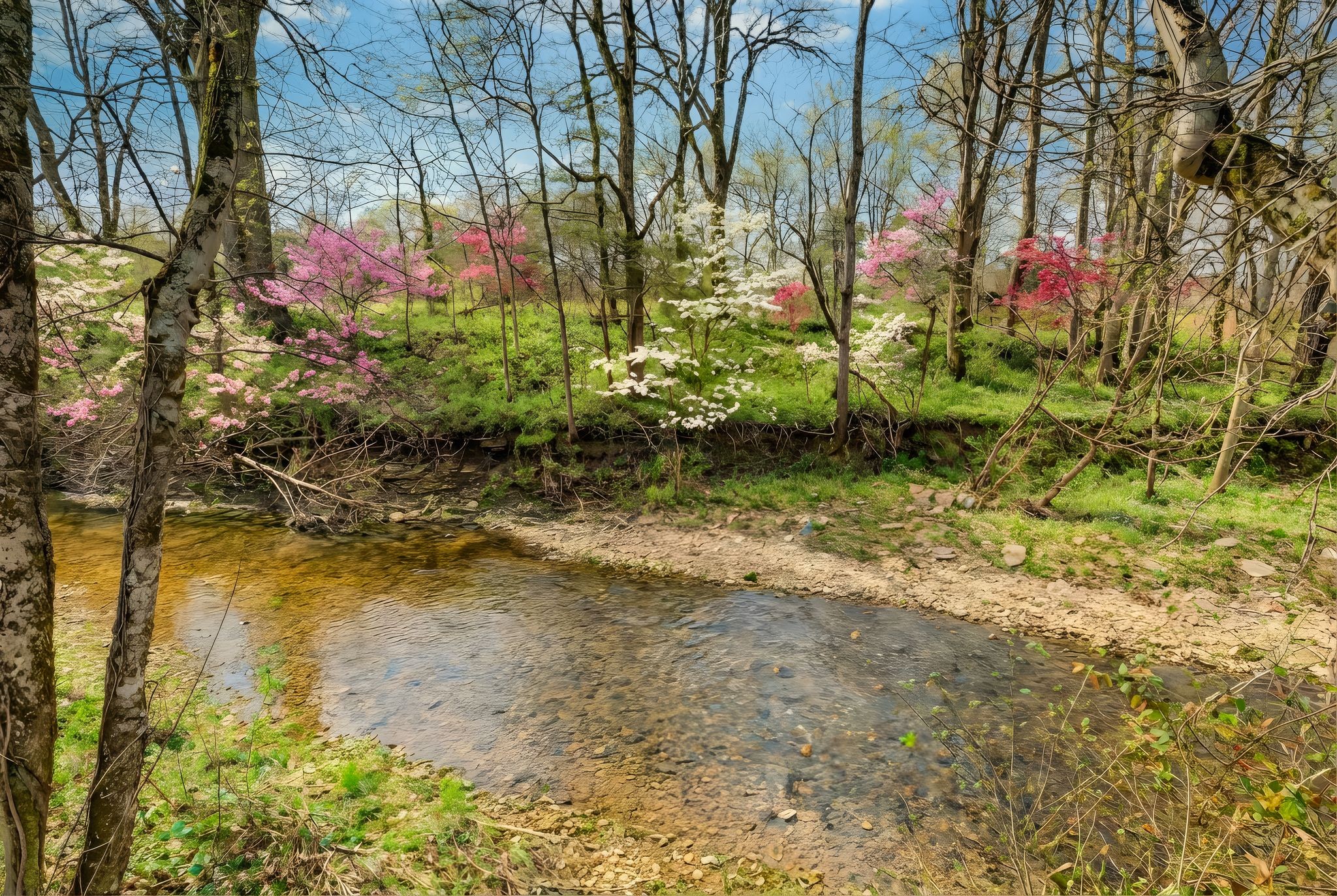 238 Hill Creek Road Woodbury TN 37190