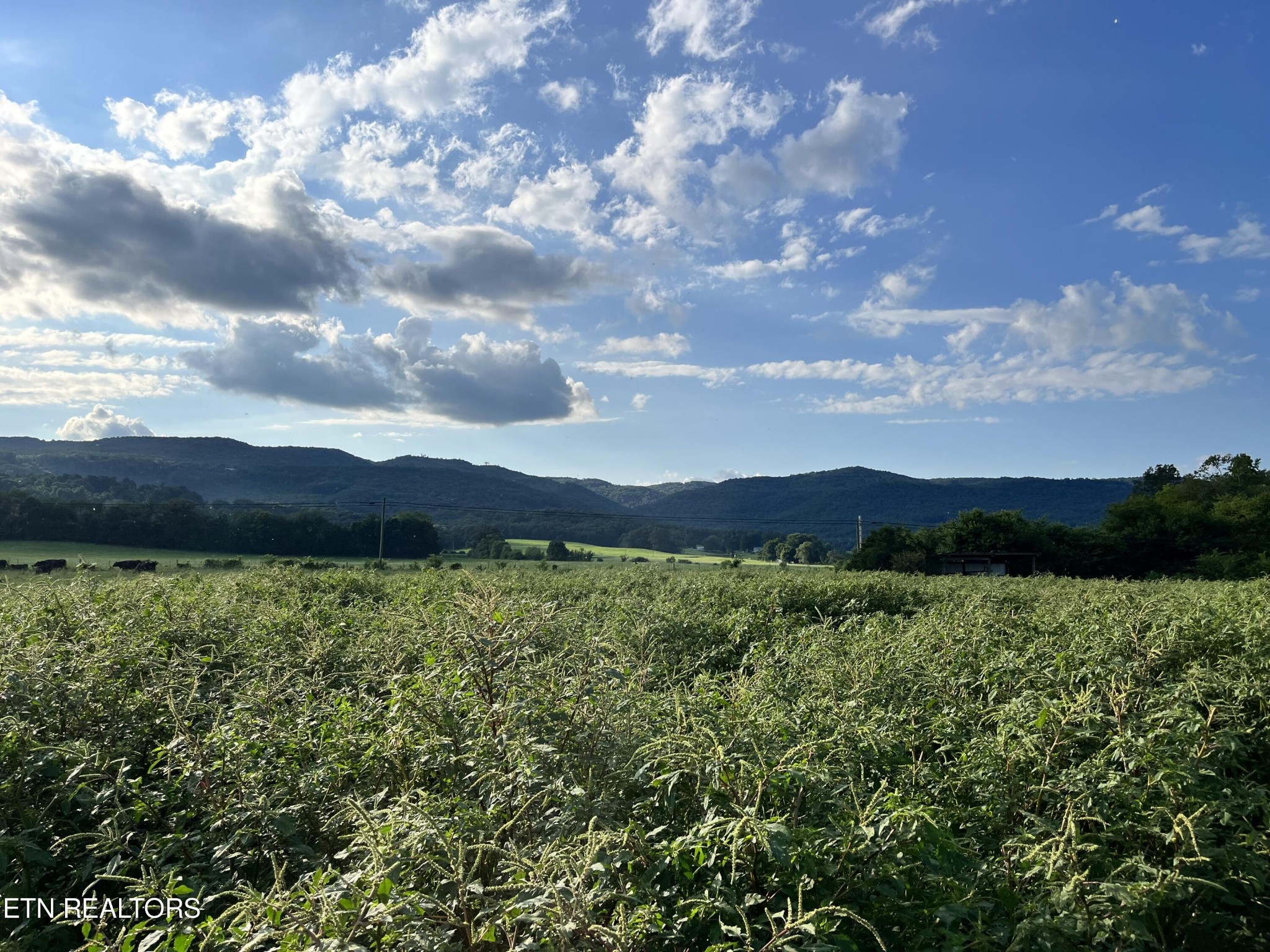 0 Old State Highway Pikeville TN 37367