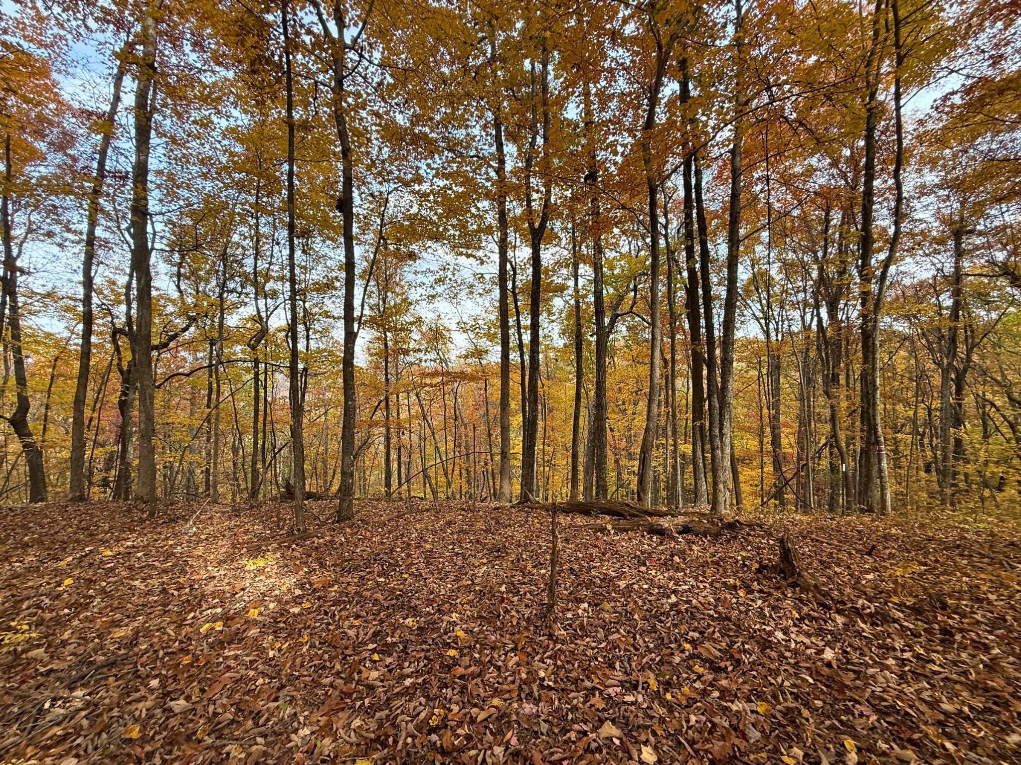 540 Cumberland Cove Road Monterey TN 38574