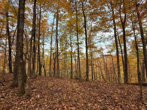 540 Cumberland Cove Road Monterey TN 38574