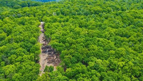 540 Cumberland Cove Road Monterey TN 38574