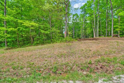 540 Cumberland Cove Road Monterey TN 38574