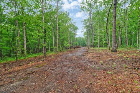 540 Cumberland Cove Road Monterey TN 38574