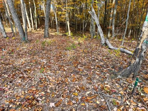 540 Cumberland Cove Road Monterey TN 38574