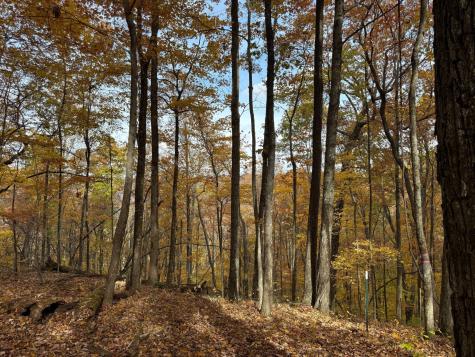 540 Cumberland Cove Road Monterey TN 38574