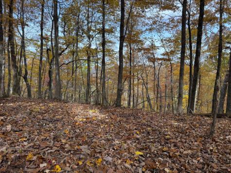540 Cumberland Cove Road Monterey TN 38574