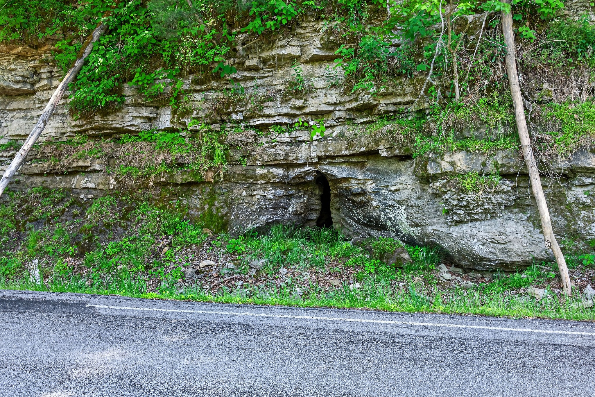 2176 Jennings Creek Highway Whitleyville TN 38588