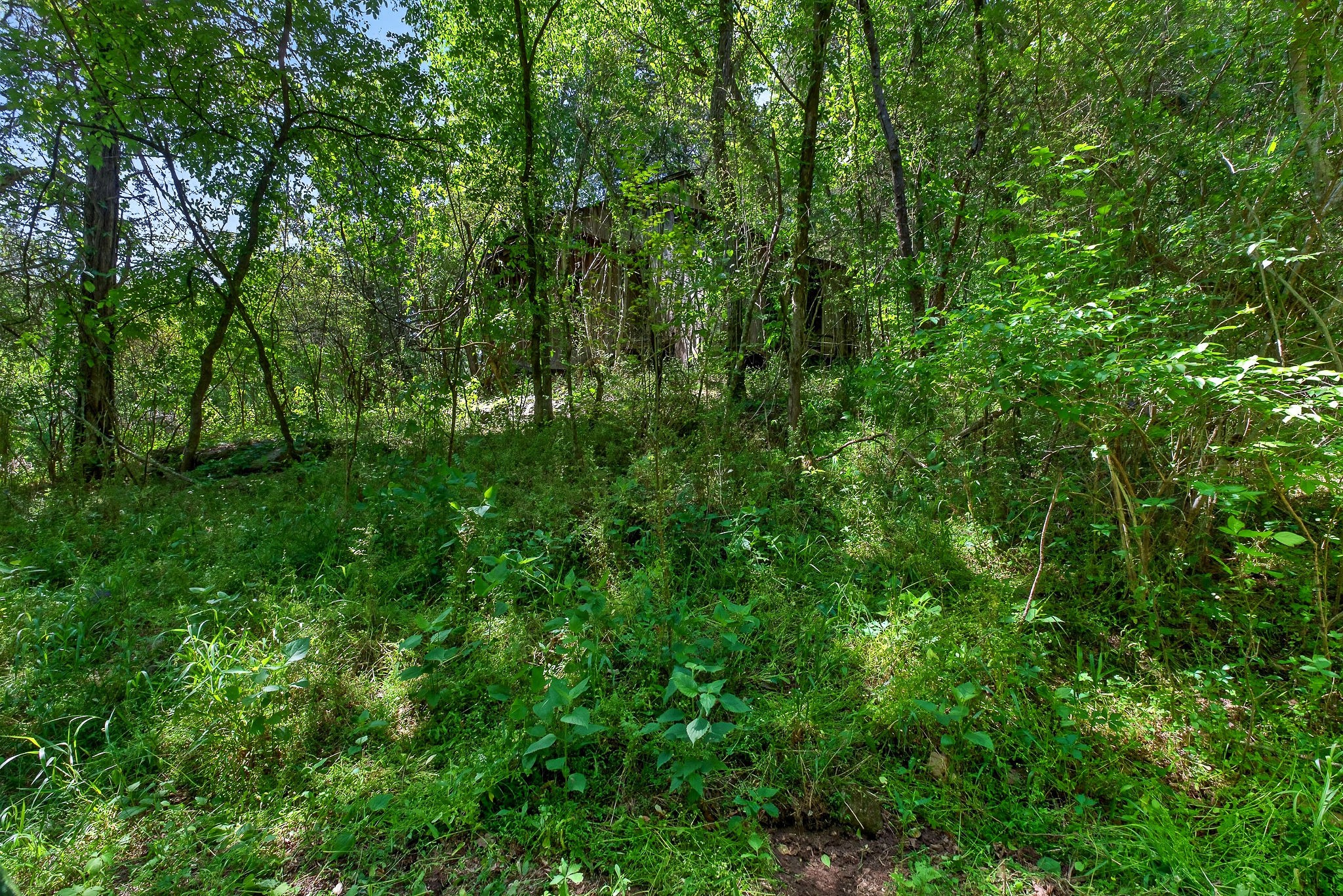 2176 Jennings Creek Highway Whitleyville TN 38588