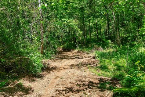 2176 Jennings Creek Highway Whitleyville TN 38588