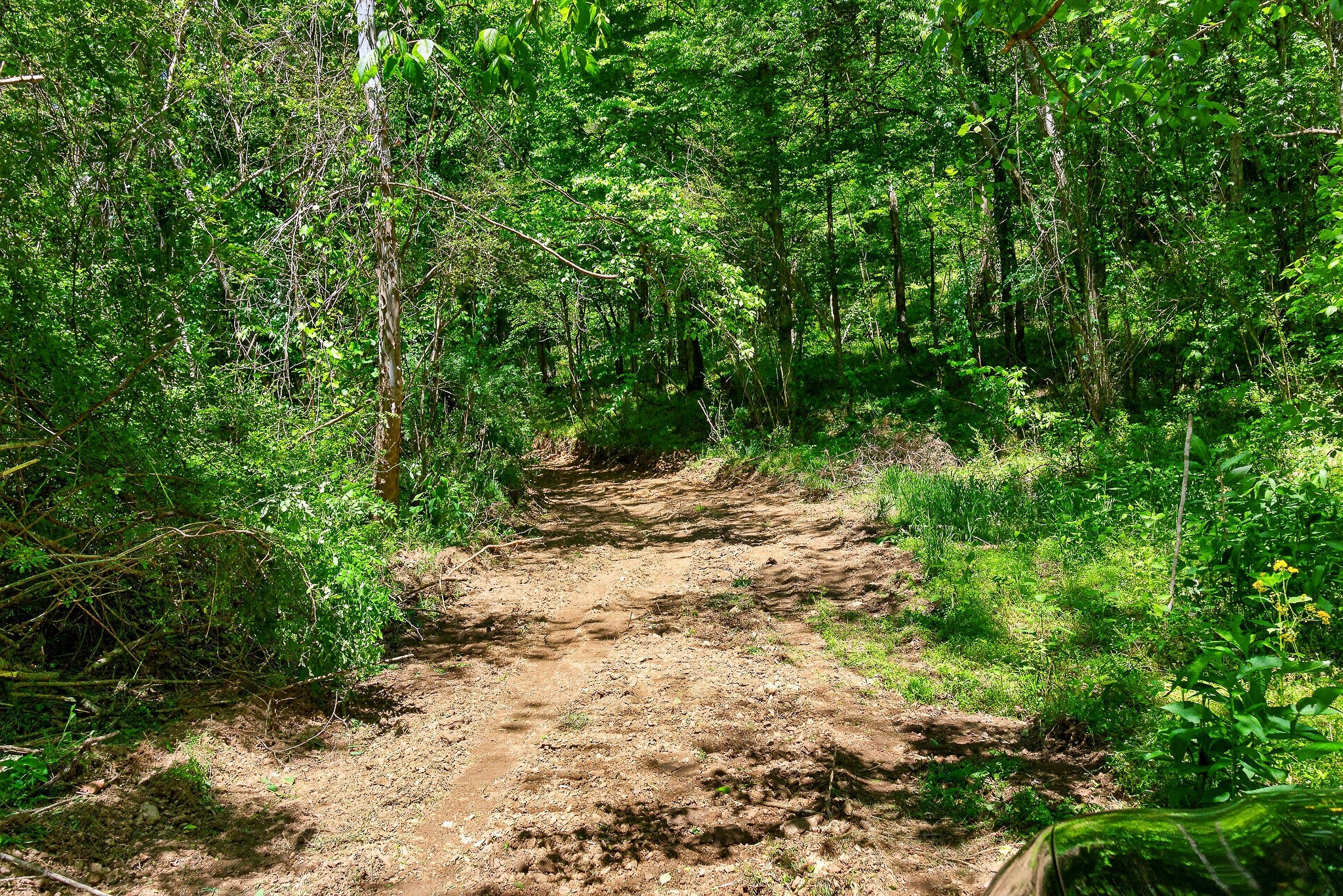 2176 Jennings Creek Highway Whitleyville TN 38588