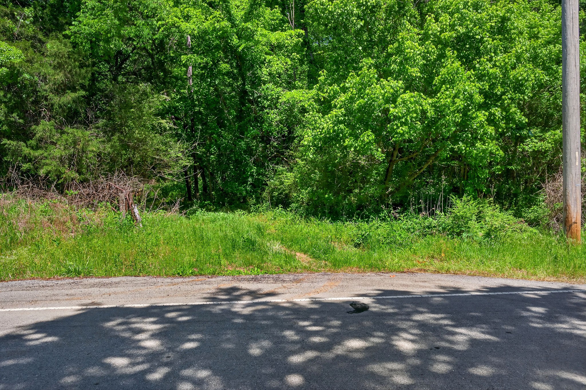 2176 Jennings Creek Highway Whitleyville TN 38588