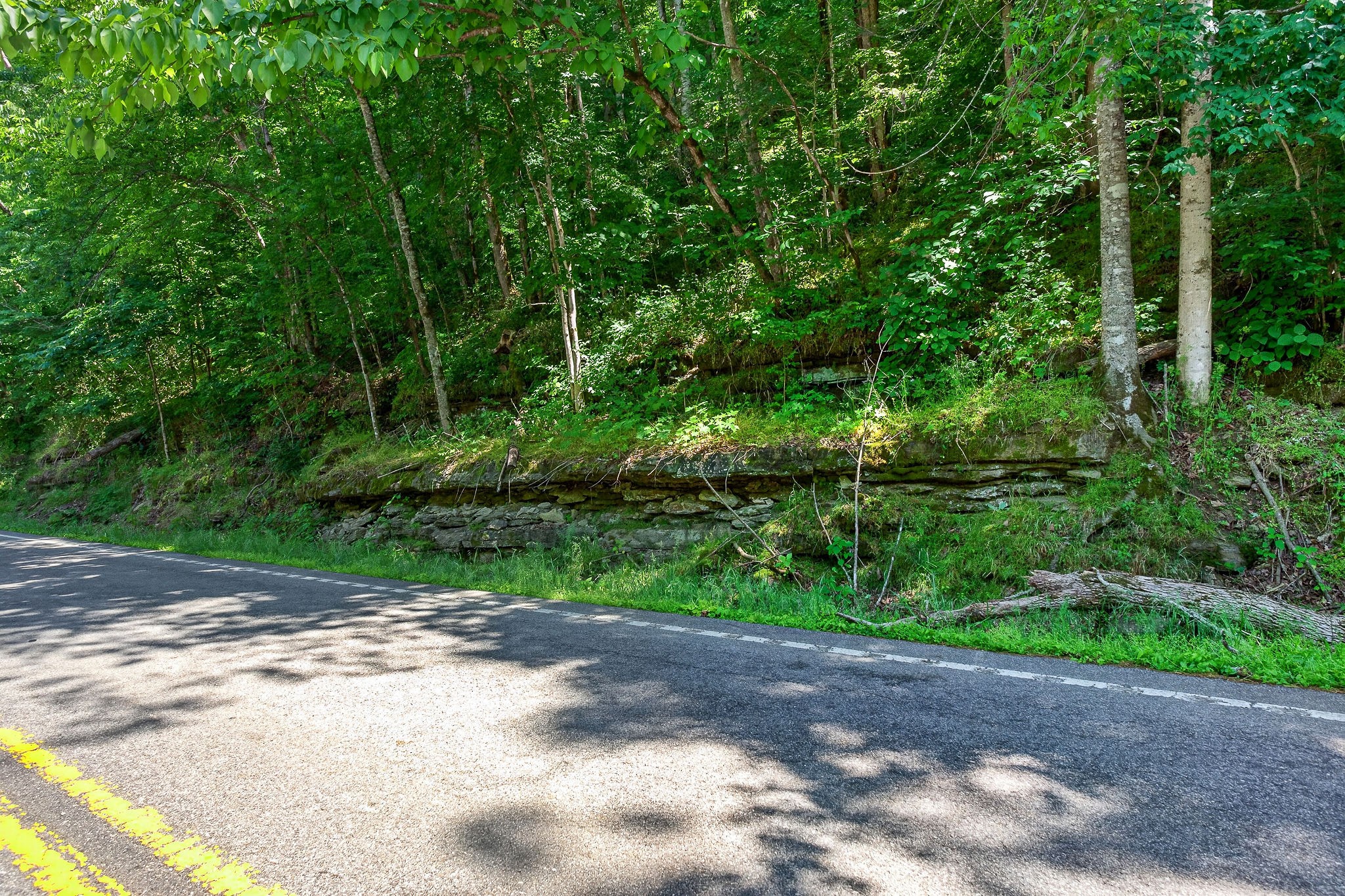 2176 Jennings Creek Highway Whitleyville TN 38588