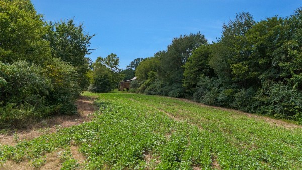 4664 New Cut Road Greenbrier TN 37073