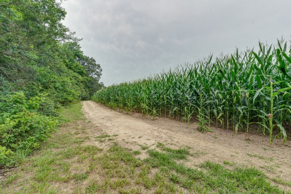 4664 New Cut Road Greenbrier TN 37073