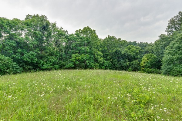 4664 New Cut Road Greenbrier TN 37073