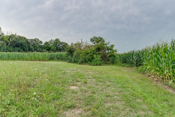 4664 New Cut Road Greenbrier TN 37073
