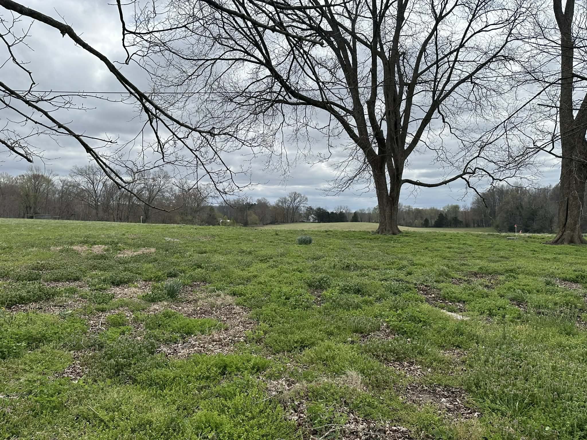 0 Upper Hilham Road Livingston TN 38570