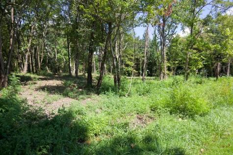 204 Vandy Circle Sparta TN 38583