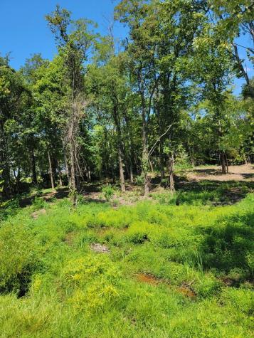 204 Vandy Circle Sparta TN 38583