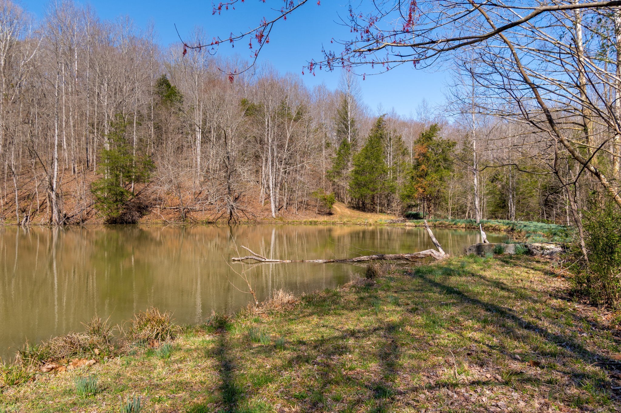 801 Collier Bend Road Charlotte TN 37036