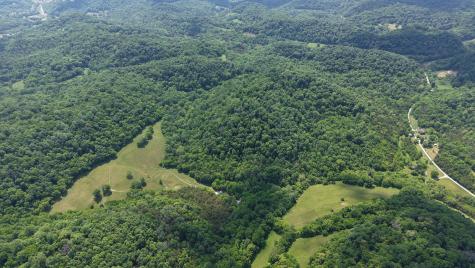 96 Maranatha Hollow Lane Dixon Springs TN 37057
