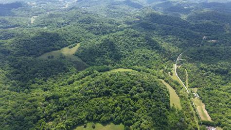 96 Maranatha Hollow Lane Dixon Springs TN 37057