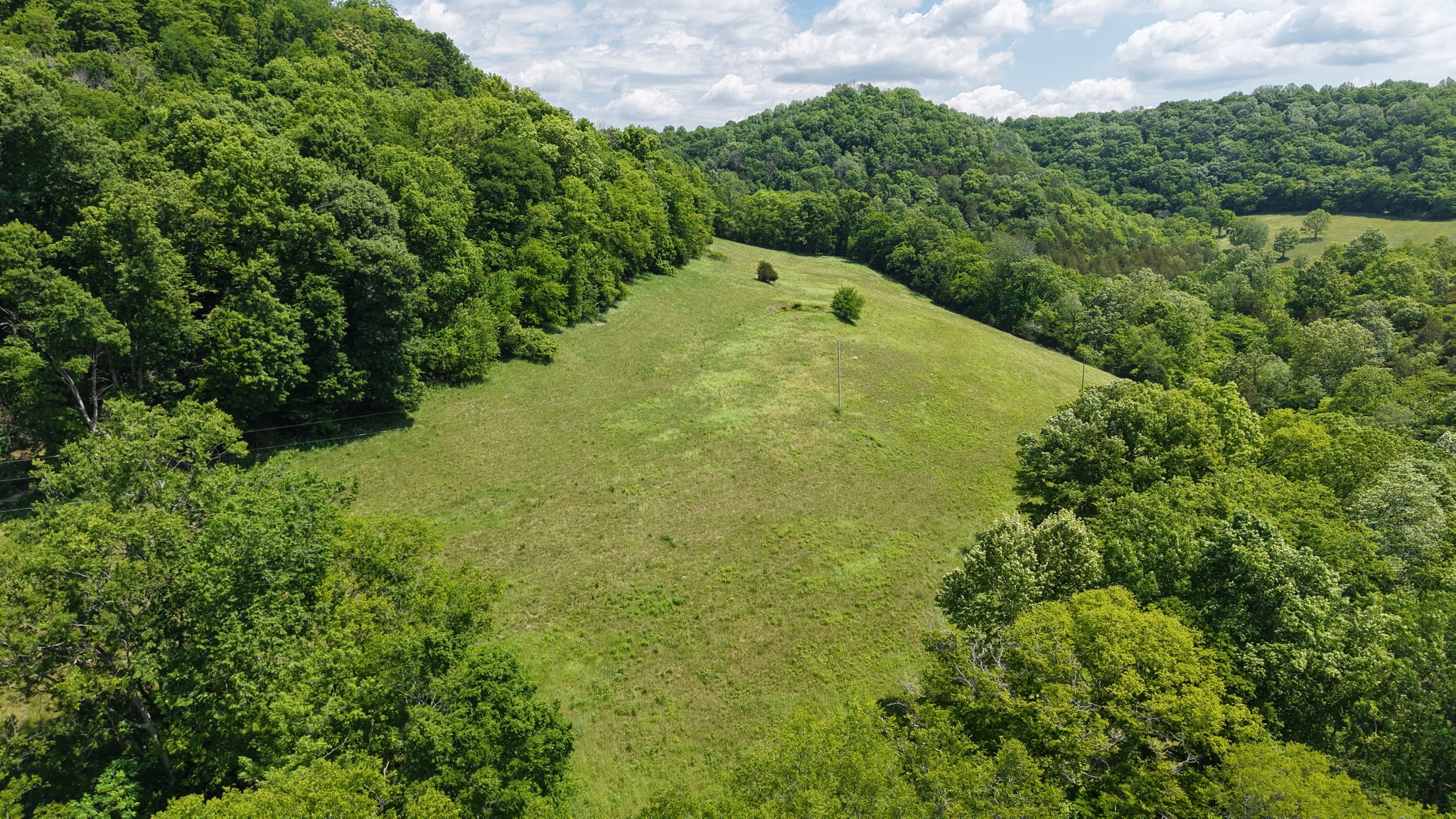 96 Maranatha Hollow Lane Dixon Springs TN 37057