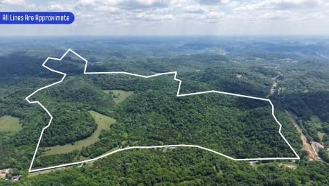 96 Maranatha Hollow Lane Dixon Springs TN 37057