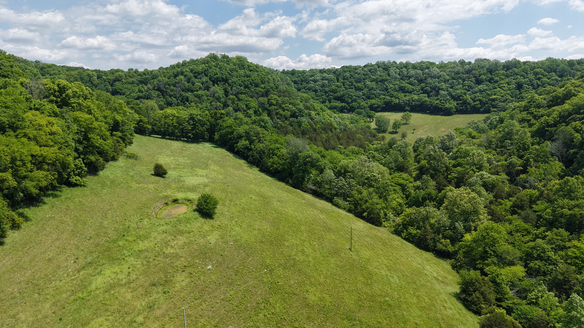96 Maranatha Hollow Lane Dixon Springs TN 37057