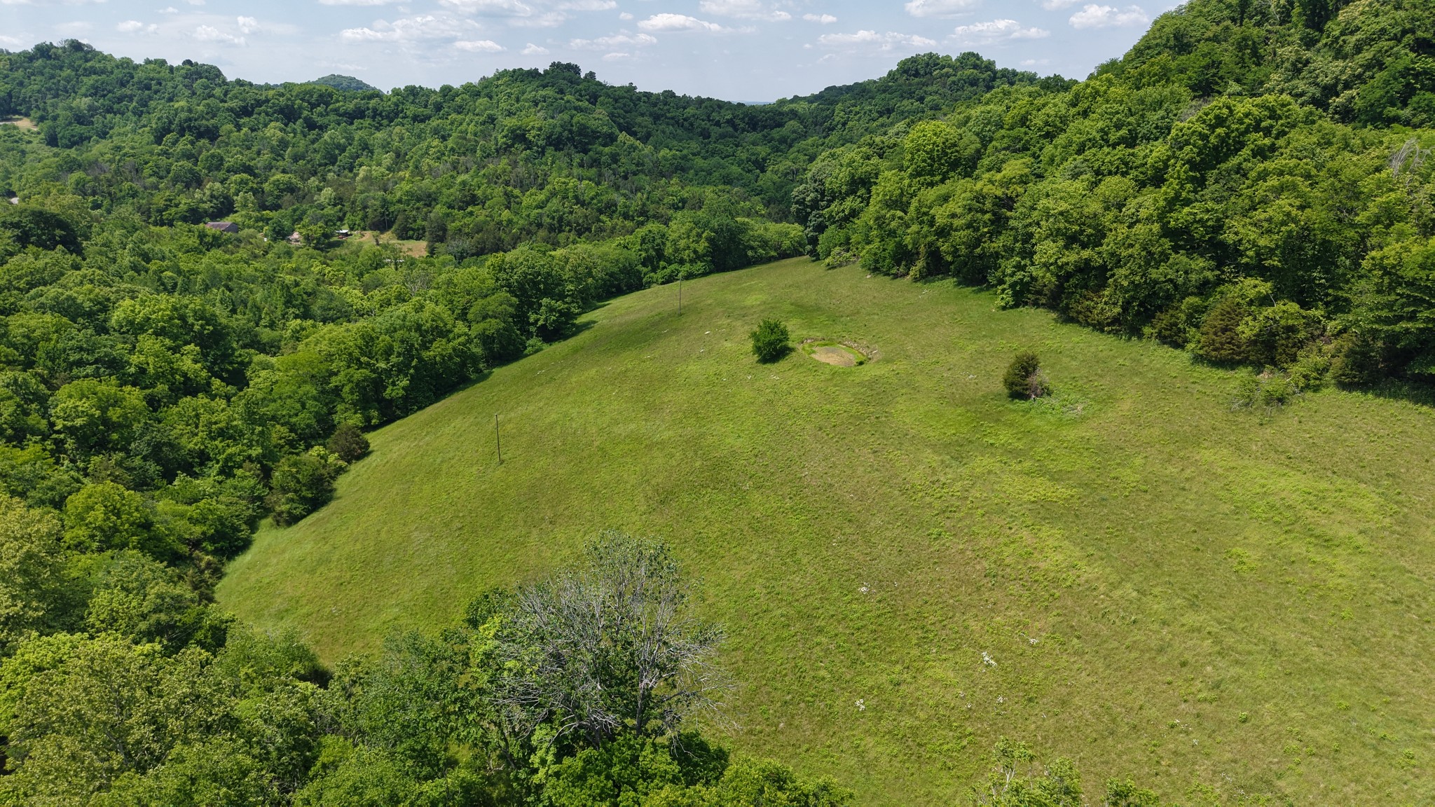 96 Maranatha Hollow Lane Dixon Springs TN 37057